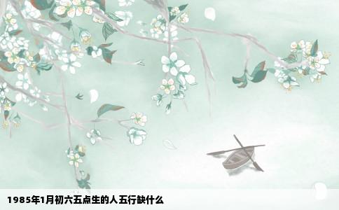 1985年1月初六五点生的人五行缺什么