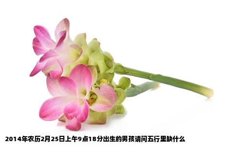 2014年农历2月25日上午9点18分出生的男孩请问五行里缺什么