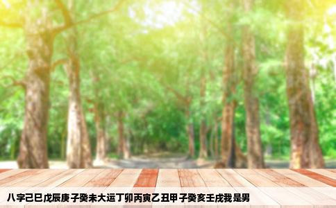 八字己巳戊辰庚子癸未大运丁卯丙寅乙丑甲子癸亥壬戌我是男