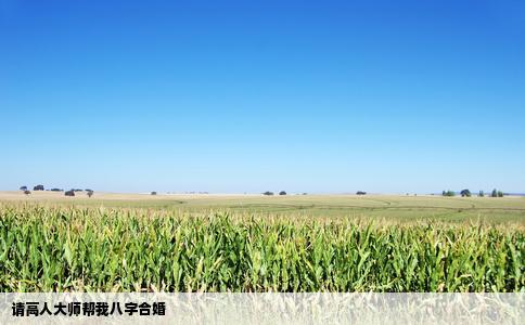 请高人大师帮我八字合婚