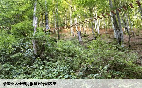 请专业人士帮我根据五行测名字