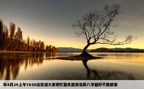 年4月29上午1020出生请大家帮忙取名能按生辰八字最好不胜感激