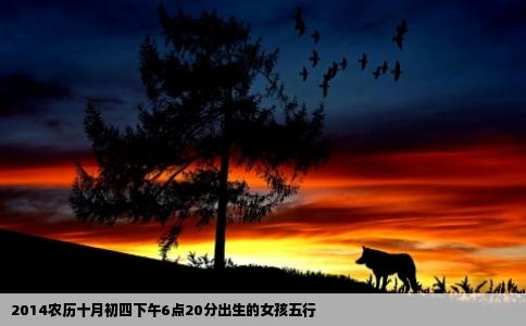2014农历十月初四下午6点20分出生的女孩五行