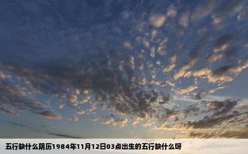 五行缺什么阴历1984年11月12日03点出生的五行缺什么呀