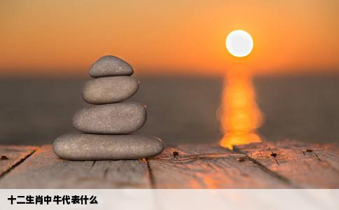 十二生肖中牛代表什么