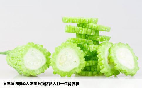 丢三落四粗心人左掏石摸防陋人打一生肖属相