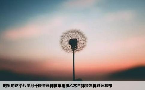 时男的这个八字月干庚金忌神被年用神乙木合拌会怎样财运怎样