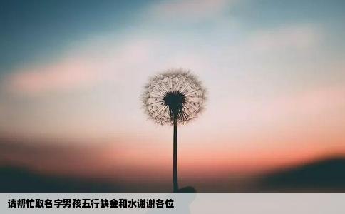 请帮忙取名字男孩五行缺金和水谢谢各位