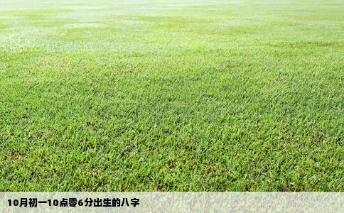 10月初一10点零6分出生的八字