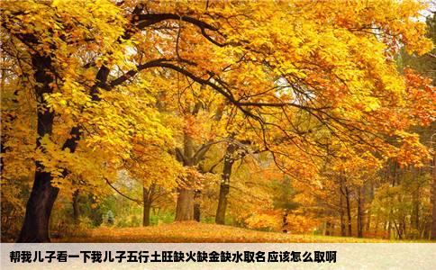 帮我儿子看一下我儿子五行土旺缺火缺金缺水取名应该怎么取啊