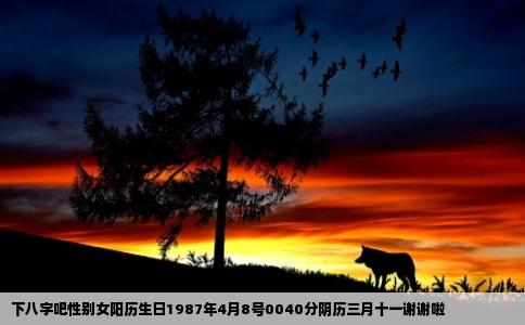 下八字吧性别女阳历生日1987年4月8号0040分阴历三月十一谢谢啦