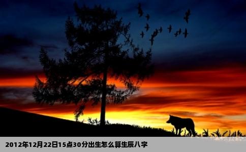 2012年12月22日15点30分出生怎么算生辰八字