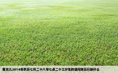 我女儿2014年农历七月二十八早七点二十三分生的请问她五行缺什么