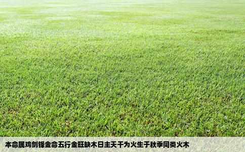 本命属鸡剑锋金命五行金旺缺木日主天干为火生于秋季同类火木