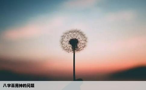 八字喜用神的问题