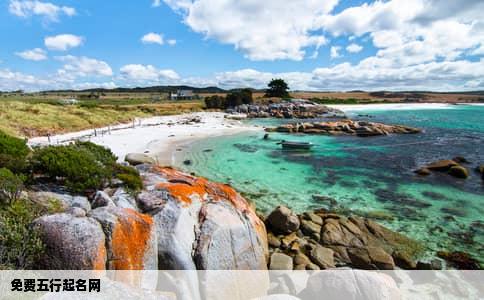 免费五行起名网