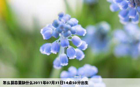 怎么算命里缺什么2011年07月31日14点50分出生