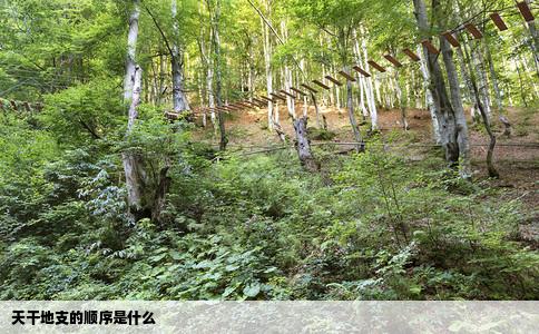 天干地支的顺序是什么