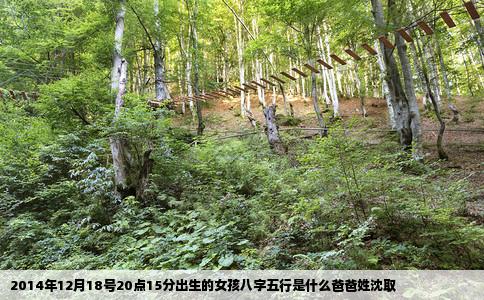2014年12月18号20点15分出生的女孩八字五行是什么爸爸姓沈取
