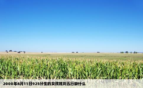 2000年4月11日925分生的女孩姓刘五行缺什么