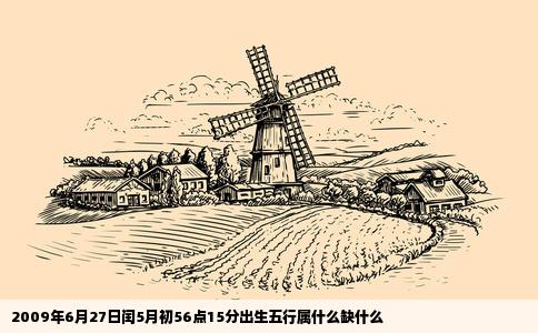 2009年6月27日闰5月初56点15分出生五行属什么缺什么