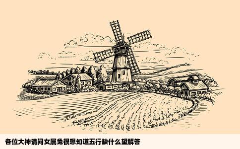 各位大神请问女属兔很想知道五行缺什么望解答