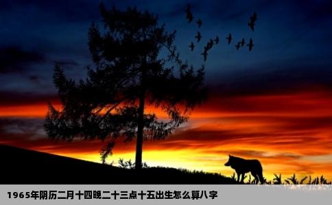 1965年阴历二月十四晚二十三点十五出生怎么算八字