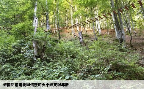 谁能给讲讲我国传统的天干地支纪年法