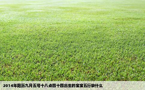 2014年阳历九月五号十八点四十四出生的宝宝五行缺什么