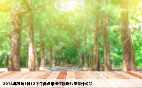 2016年农历3月12下午两点半出生根据八字是什么命