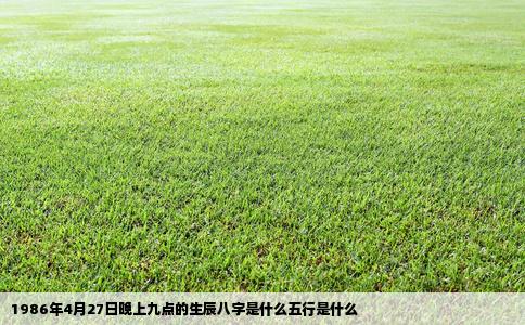1986年4月27日晚上九点的生辰八字是什么五行是什么