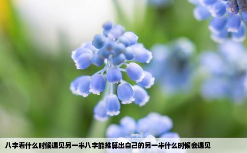 八字看什么时候遇见另一半八字能推算出自己的另一半什么时候会遇见