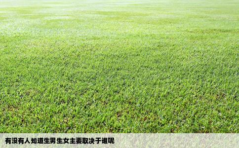 有没有人知道生男生女主要取决于谁呢