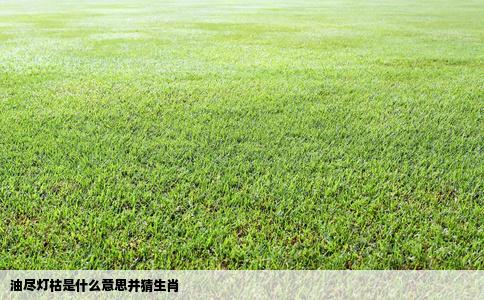 油尽灯枯是什么意思并猜生肖