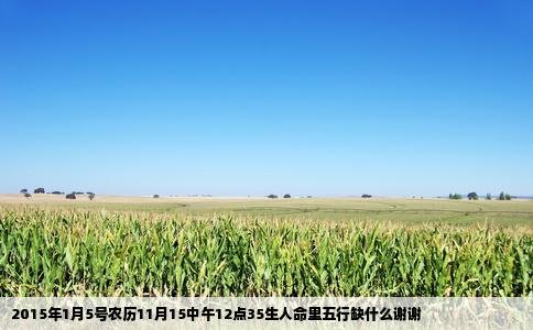 2015年1月5号农历11月15中午12点35生人命里五行缺什么谢谢