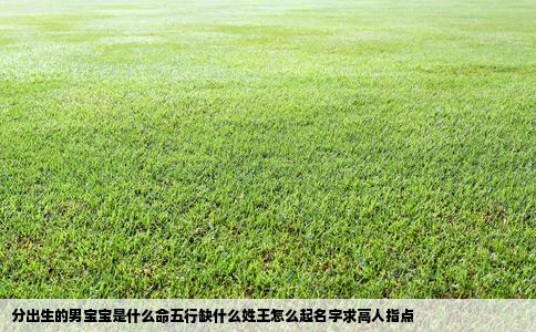 分出生的男宝宝是什么命五行缺什么姓王怎么起名字求高人指点