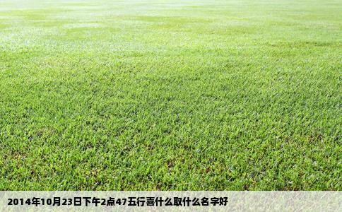 2014年10月23日下午2点47五行喜什么取什么名字好