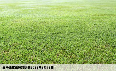 天干地支五行对照表2015年6月13曰