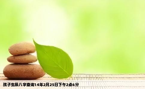 孩子生辰八字查询14年2月25日下午2点6分