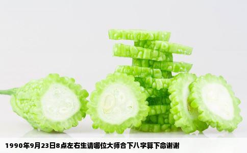 1990年9月23日8点左右生请哪位大师合下八字算下命谢谢