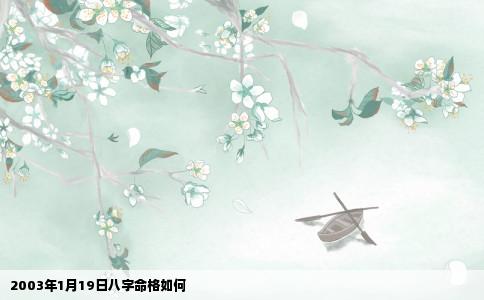 2003年1月19日八字命格如何