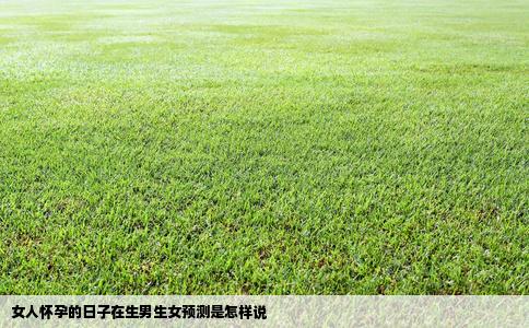 女人怀孕的日子在生男生女预测是怎样说
