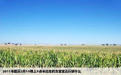 2011年阳历2月19晚上9点半出生的女宝宝五行缺什么