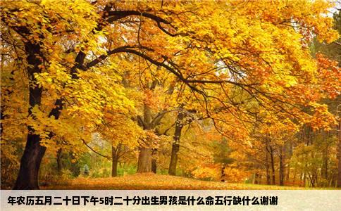 年农历五月二十日下午5时二十分出生男孩是什么命五行缺什么谢谢