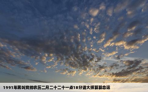 1991年男叫党帅农历二月二十二十一点18分请大师算算命运