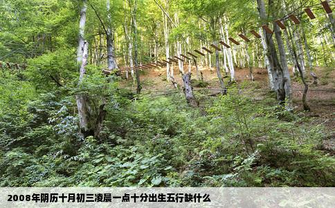 2008年阴历十月初三凌晨一点十分出生五行缺什么
