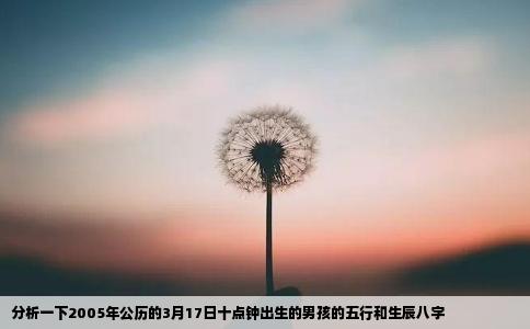 分析一下2005年公历的3月17日十点钟出生的男孩的五行和生辰八字