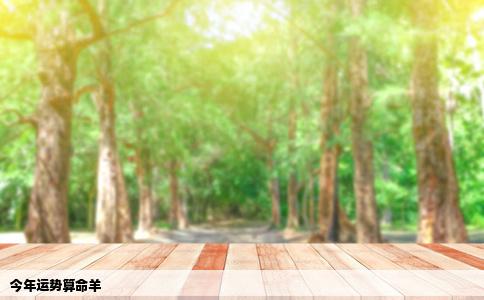 今年运势算命羊