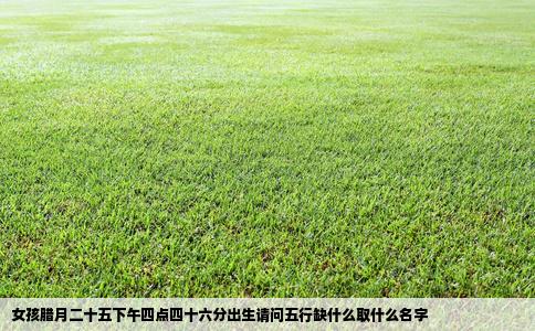 女孩腊月二十五下午四点四十六分出生请问五行缺什么取什么名字