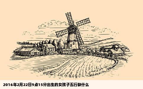 2016年2月22日9点15分出生的女孩子五行缺什么